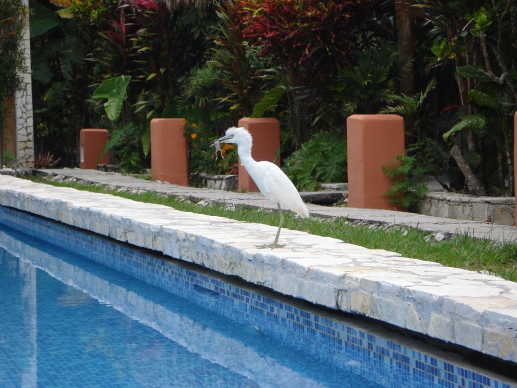 Hotel Jaguar Inn Tikal Eksteriør bilde