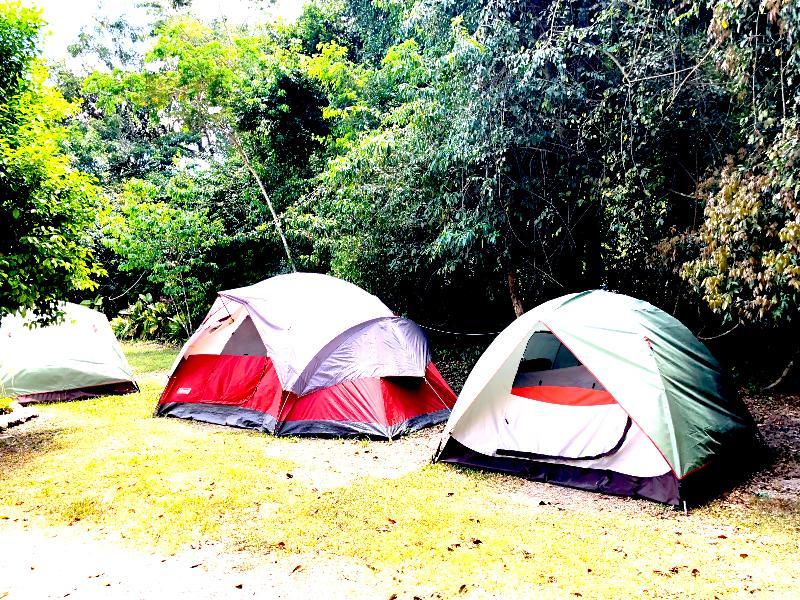 Hotel Jaguar Inn Tikal Eksteriør bilde