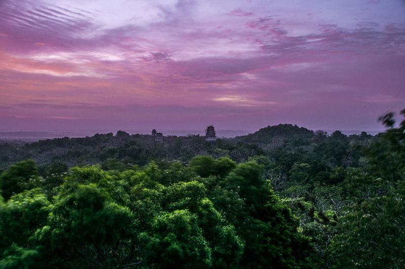 Hotel Jaguar Inn Tikal Eksteriør bilde